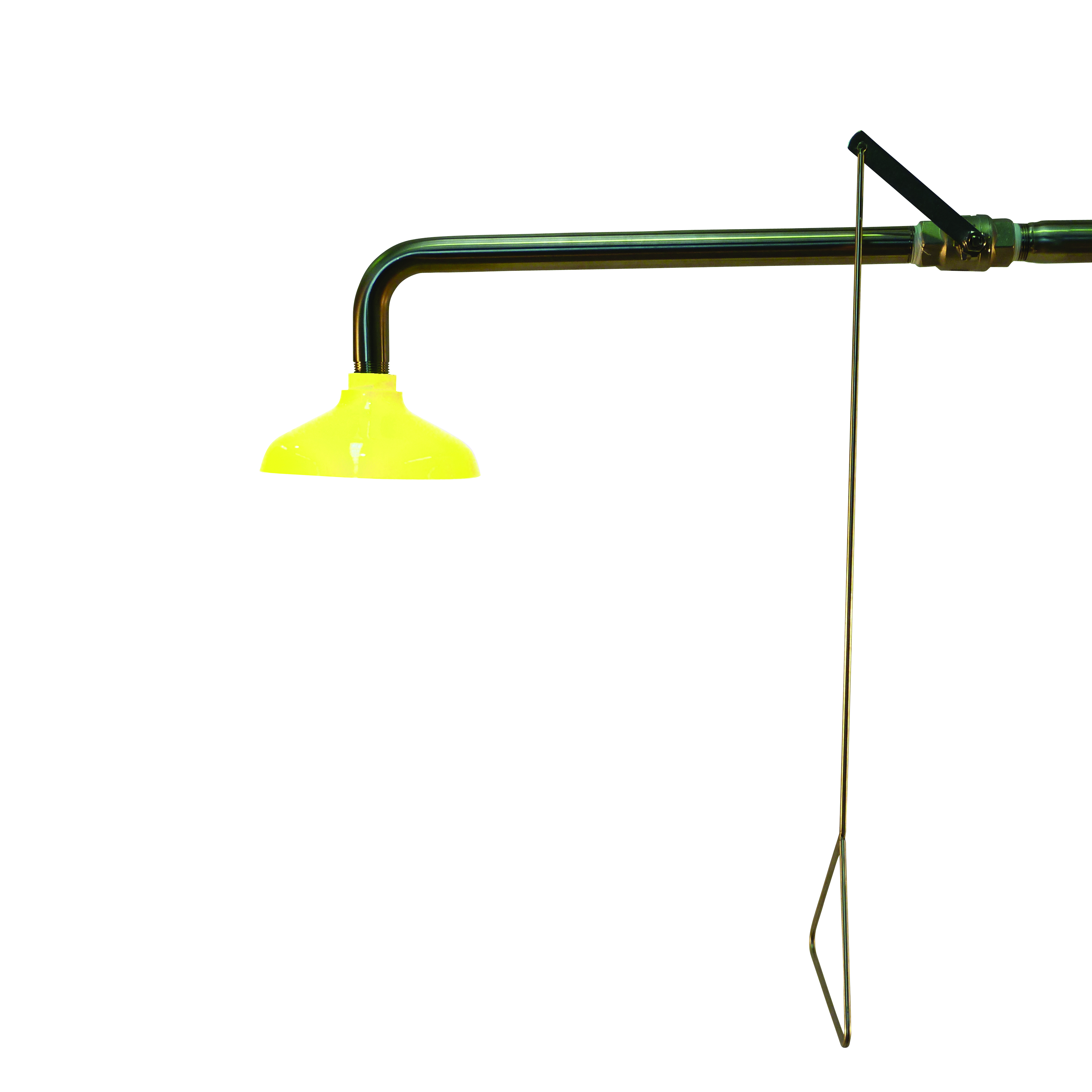 Pratt Shower Wall Mounted