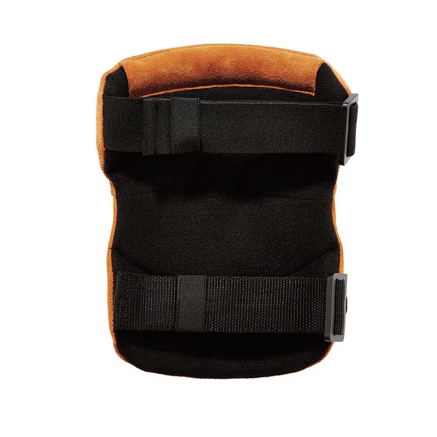 230LTR_Back_0718